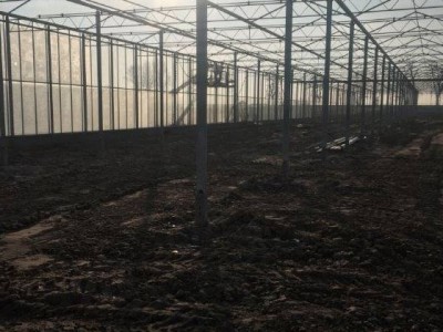00007 Pleszew Polen kassenbouw olsthoorn greenhouse