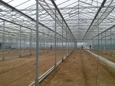 00001 Iasi Roemenie kassenbouw olsthoorn greenhouse