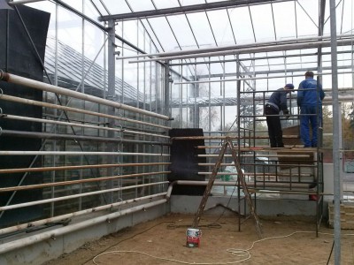 00002 Iasi Roemenie kassenbouw olsthoorn greenhouse