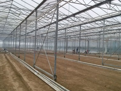 00003 Iasi Roemenie kassenbouw olsthoorn greenhouse