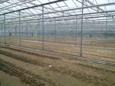 00004 Iasi Roemenie kassenbouw olsthoorn greenhouse