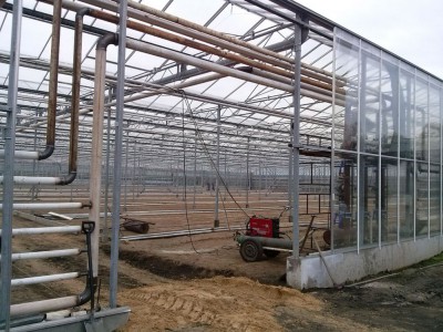 00007 Iasi Roemenie kassenbouw olsthoorn greenhouse