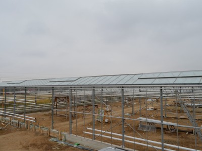 Chehov Rusland Olsthoorn Greenhouse00001