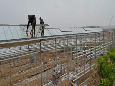 Chehov Rusland Olsthoorn Greenhouse00002