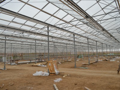 Chehov Rusland Olsthoorn Greenhouse00003