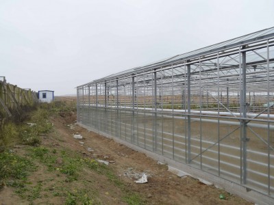 Chehov Rusland Olsthoorn Greenhouse00005