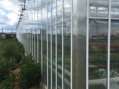 Chehov Rusland Olsthoorn Greenhouse00013