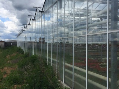 Chehov Rusland Olsthoorn Greenhouse00014