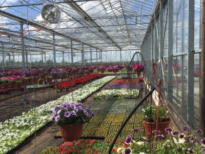 Moskou Rusland Olsthoorn Greenhouse00005