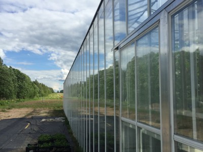 Moskou Rusland Olsthoorn Greenhouse00006