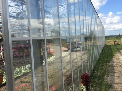 Moskou Rusland Olsthoorn Greenhouse00007