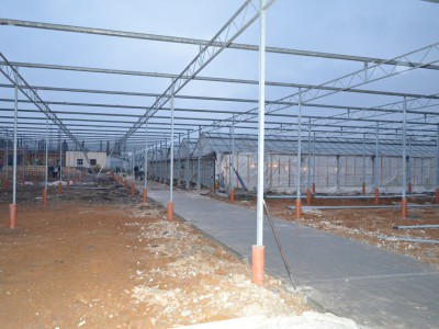 Tula Rusland Olsthoorn Greenhouse 01