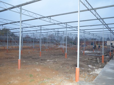 Tula Rusland Olsthoorn Greenhouse 02