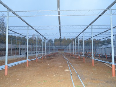 Tula Rusland Olsthoorn Greenhouse 03