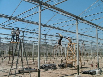 00003 Izmir Turkije kassenbouw olsthoorn greenhouse