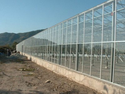 00007 Izmir Turkije kassenbouw olsthoorn greenhouse