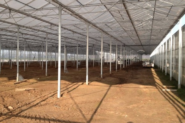 Kempen Duitsland Kassenbouw Olsthoorn Greenhouse Projects 10