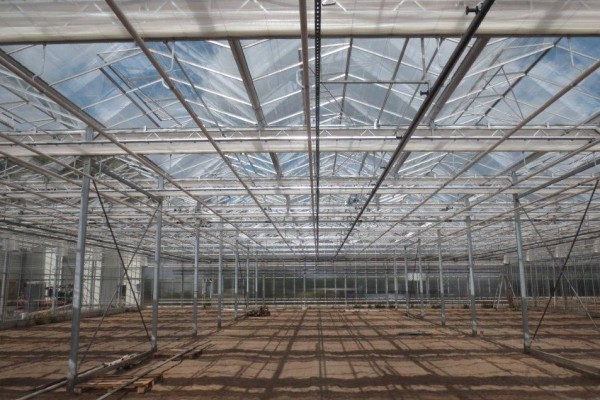 Kevelaer Duitsland kassenbouw olsthoorn greenhouse 17