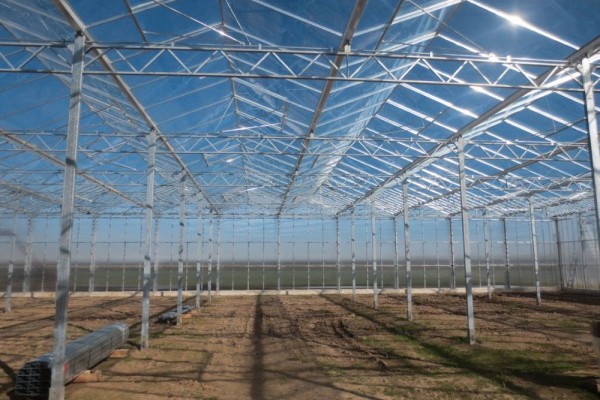 Straelen 3 Duitsland Kassenbouw Olsthoorn Greenhouse Projects 1