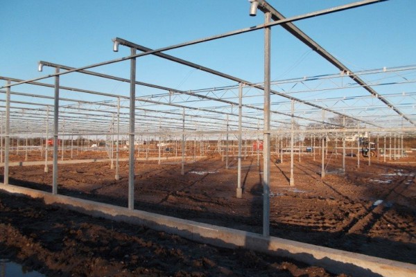 Loughborough Engeland Kassenbouw Olsthoorn Greenhouse Projects 10