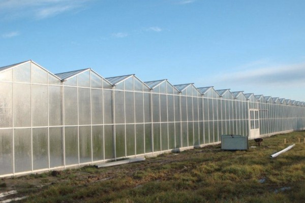 Var Frankrijk Kassenbouw Olsthoorn Greenhouse Projects 3