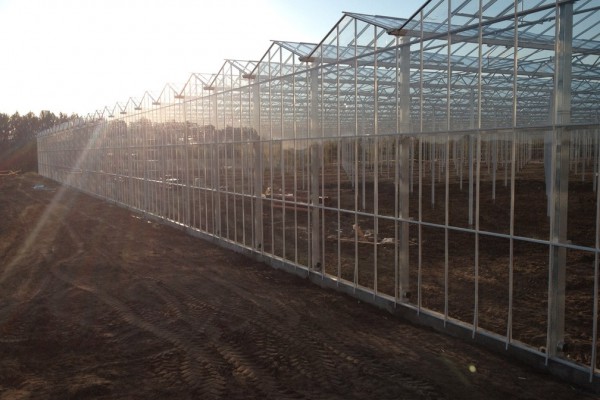 Veresegyhaz Hongarije Kassenbouw Olsthoorn Greenhouse Projects 26