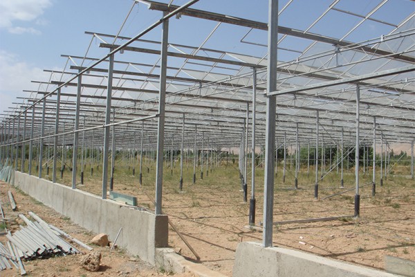 Doostwand iran Olsthoorn Greenhouse 6