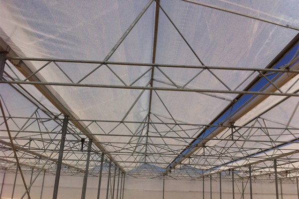 Shiraz Iran Olsthoorn Greenhouse00006