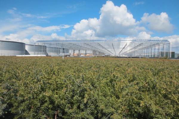 Boskoop Nederland kassenbouw olsthoorn greenhouse 1