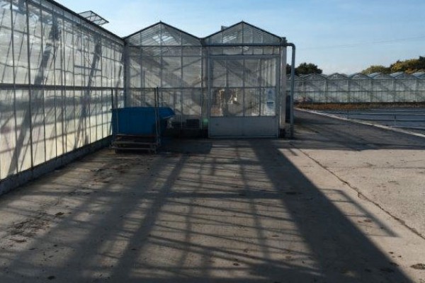 Tandragee Northern Ireland Kassenbouw Olsthoorn Greenhouse Projects 1