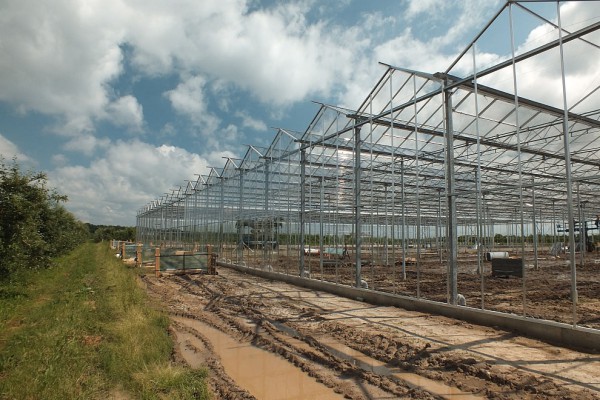 Belsk Duzy Polen kassenbouw olsthoorn greenhouse 1