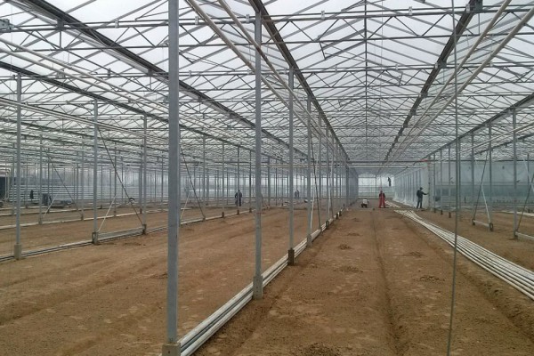 Iasi Roemenie Kassenbouw Olsthoorn Greenhouse Projects 1