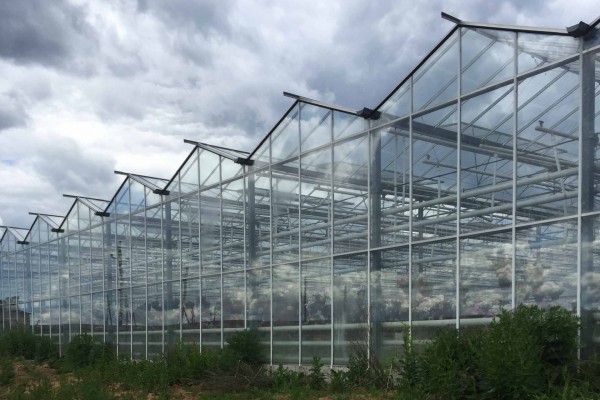 Chehov Rusland Olsthoorn Greenhouse00015