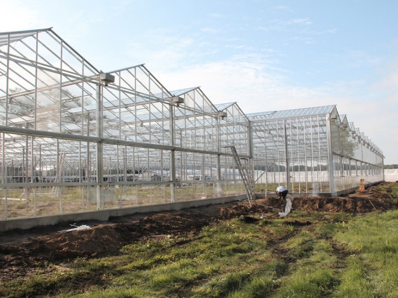 Lochristi Belgie Kassenbouw Olsthoorn Greenhouse Projects 13