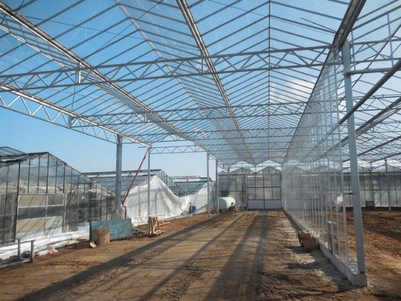 Geldern 2 Duitsland kassenbouw olsthoorn greenhouse 10