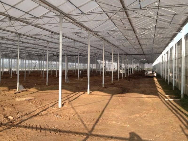 Kempen Duitsland Kassenbouw Olsthoorn Greenhouse Projects 10