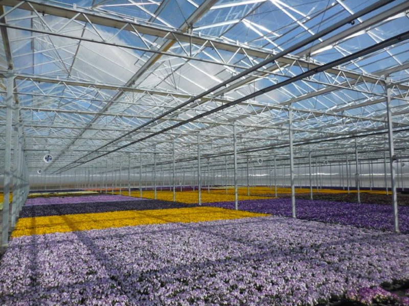 Munchen Duitsland Kassenbouw Olsthoorn Greenhouse Projects 1