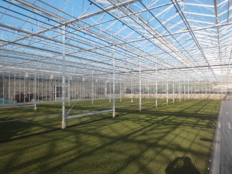 Straelen 4 Duitsland Kassenbouw Olsthoorn Greenhouse Projects 1