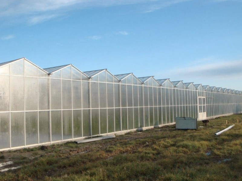 Var Frankrijk Kassenbouw Olsthoorn Greenhouse Projects 3