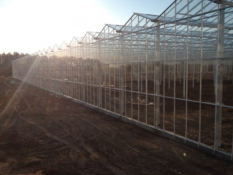 Veresegyhaz Hongarije Kassenbouw Olsthoorn Greenhouse Projects 26