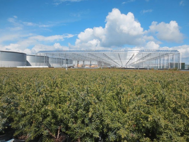 Boskoop Nederland kassenbouw olsthoorn greenhouse 1