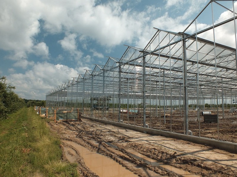 Belsk Duzy Polen kassenbouw olsthoorn greenhouse 1