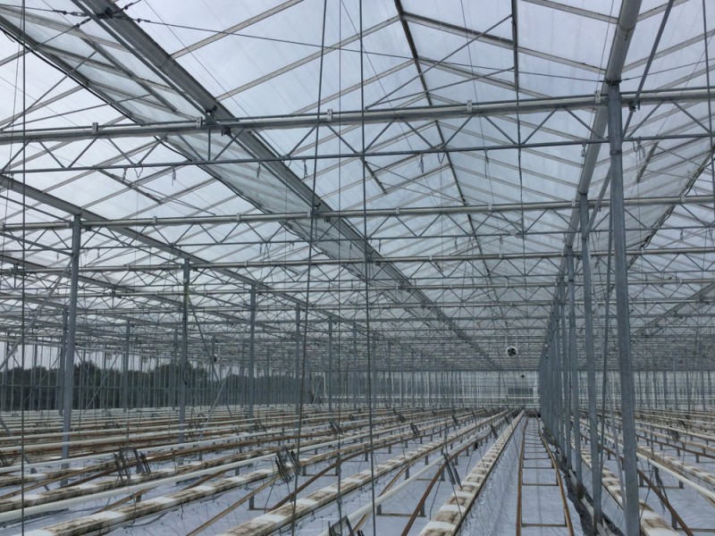 Hoofdfoto Greenhouse project Hortined Milizac 7 Olsthoorn