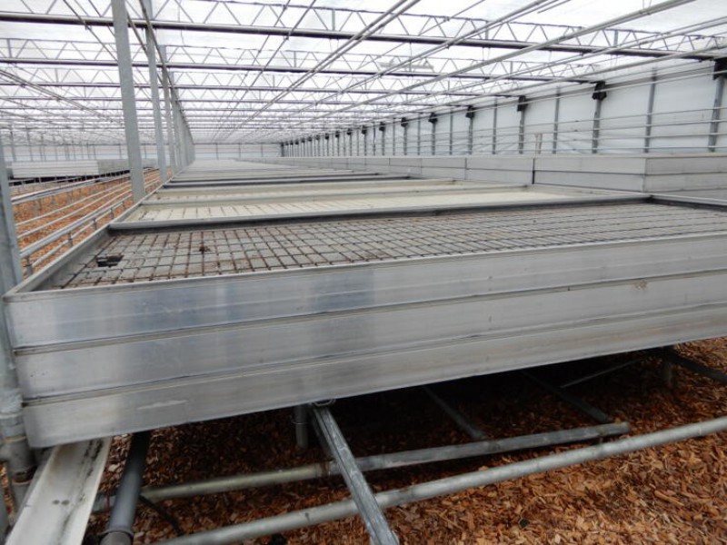 Teelttafels 1